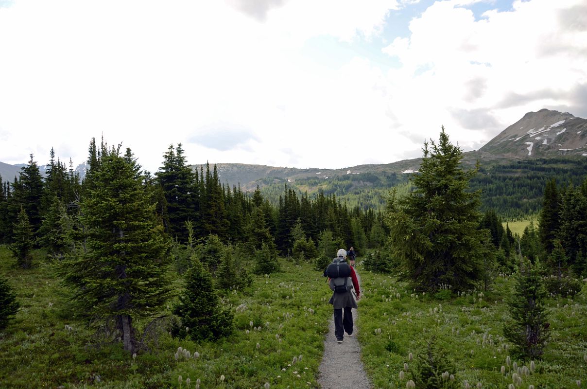 07 Hiking Along Sunshine Meadows With Quartz Hill On Right On Hike To Mount Assiniboine